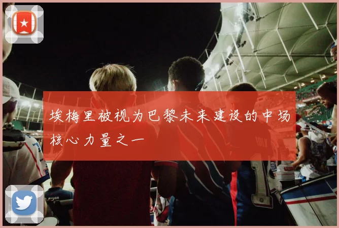埃梅里被视为巴黎未来建设的中场核心力量之一