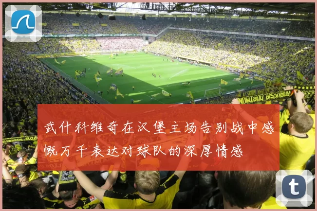 武什科维奇在汉堡主场告别战中感慨万千表达对球队的深厚情感